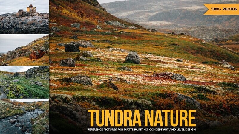 1300+ Tundra Nature Reference Pictures