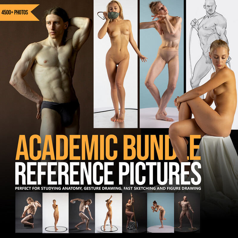 Academic Reference Pictures Bundle Academic Reference Pictures Bundle