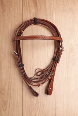 Briglie  USA 0324
