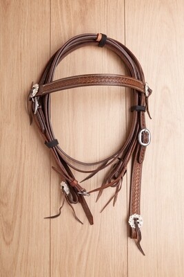 Briglie USA 0331