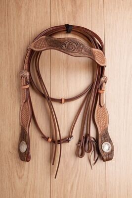 Briglie USA 0333
