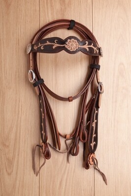Briglie USA 0325