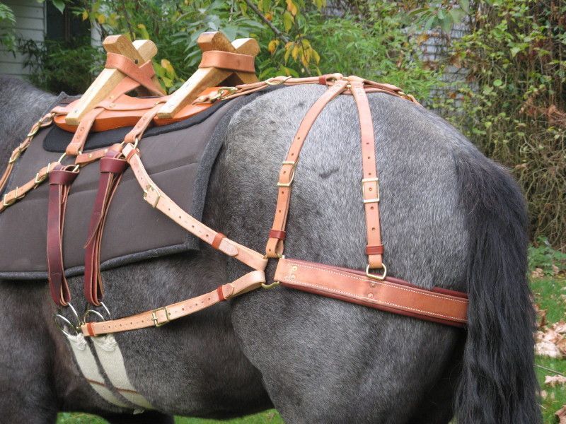 Complete Mule / Horse trekking kit