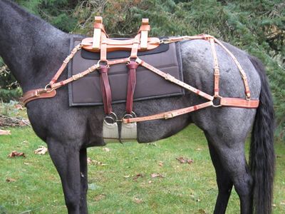 Complete Mule / Horse trekking kit