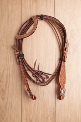 Briglie USA 0326
