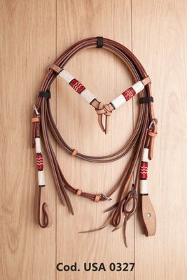 Briglie USA 0327