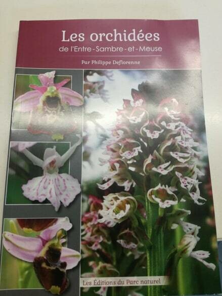 Les orchidées