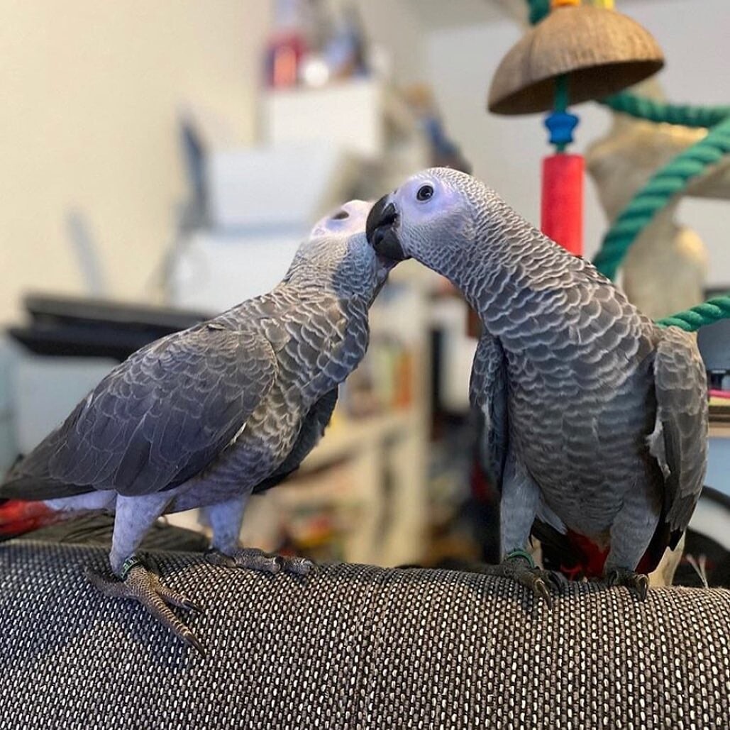 Mark and Betty