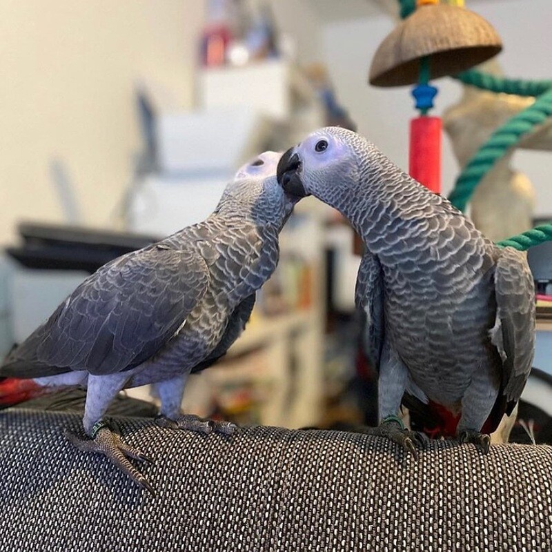 Mark and Betty