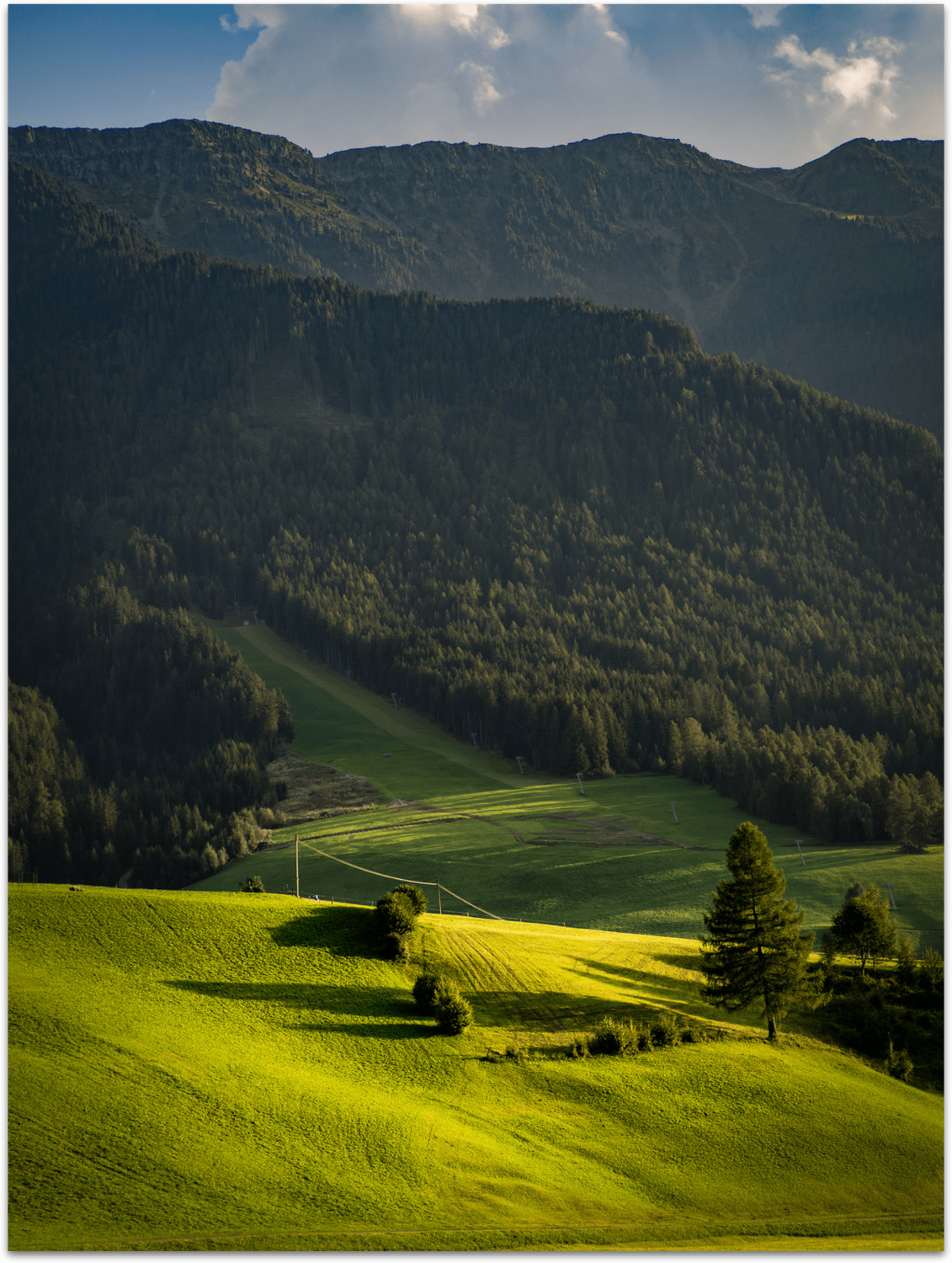 Poster - Südtirol Wiese Poster - Südtirol Wiese