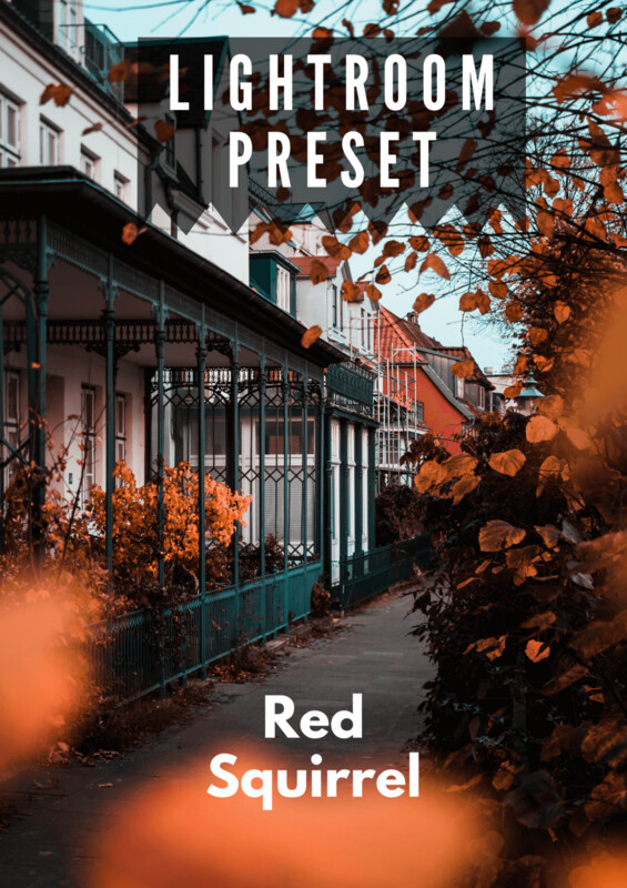KOSTENLOS - Lightroom Preset - Red Squirrel