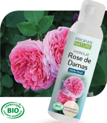 Hydrolat de Rose de Damas 100 ml