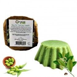 Shampoing solide Bay de St Thomas Neem