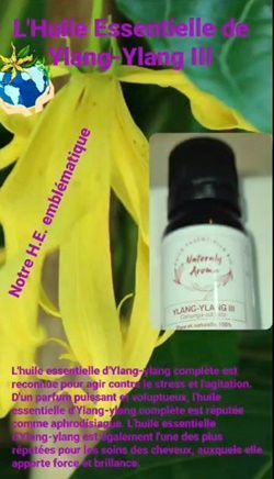 Huile essentielle Ylang-Ylang 10 ml