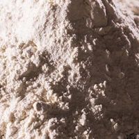 Argile de Diatomée - 100 gr Argile de Diatomée - 100 gr
