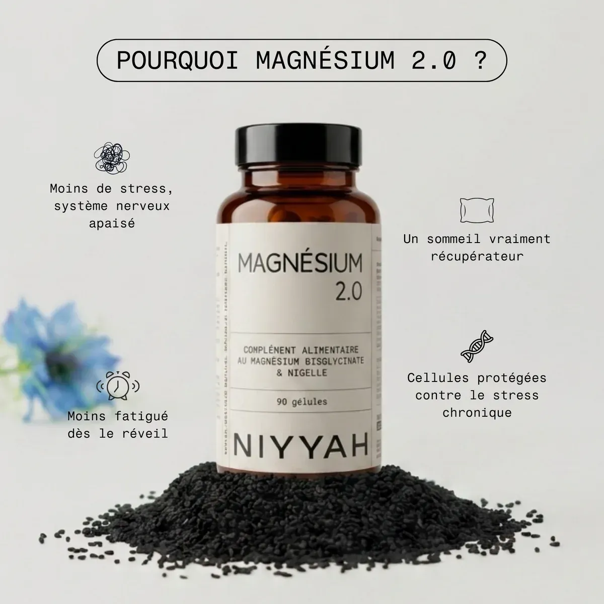 Magnésium 2.0 Magnésium 2.0