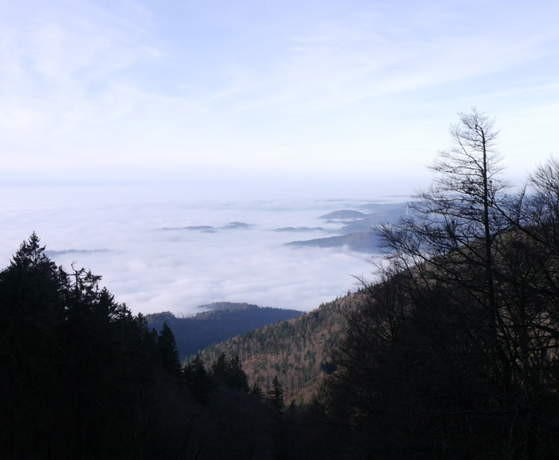 Klangreise - Vision Klangreise - Vision