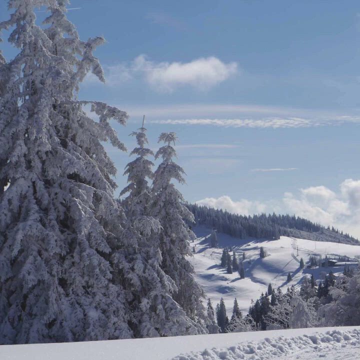 GUTSCHEIN Winter - Lebe mutig und weise!
