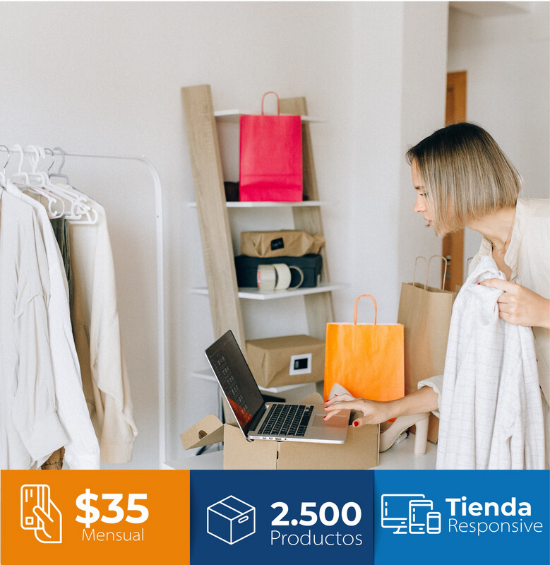 Business Ecommerce Store Monthly Plan