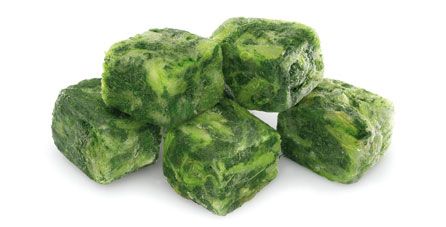 ACELGA x1kg Quillen