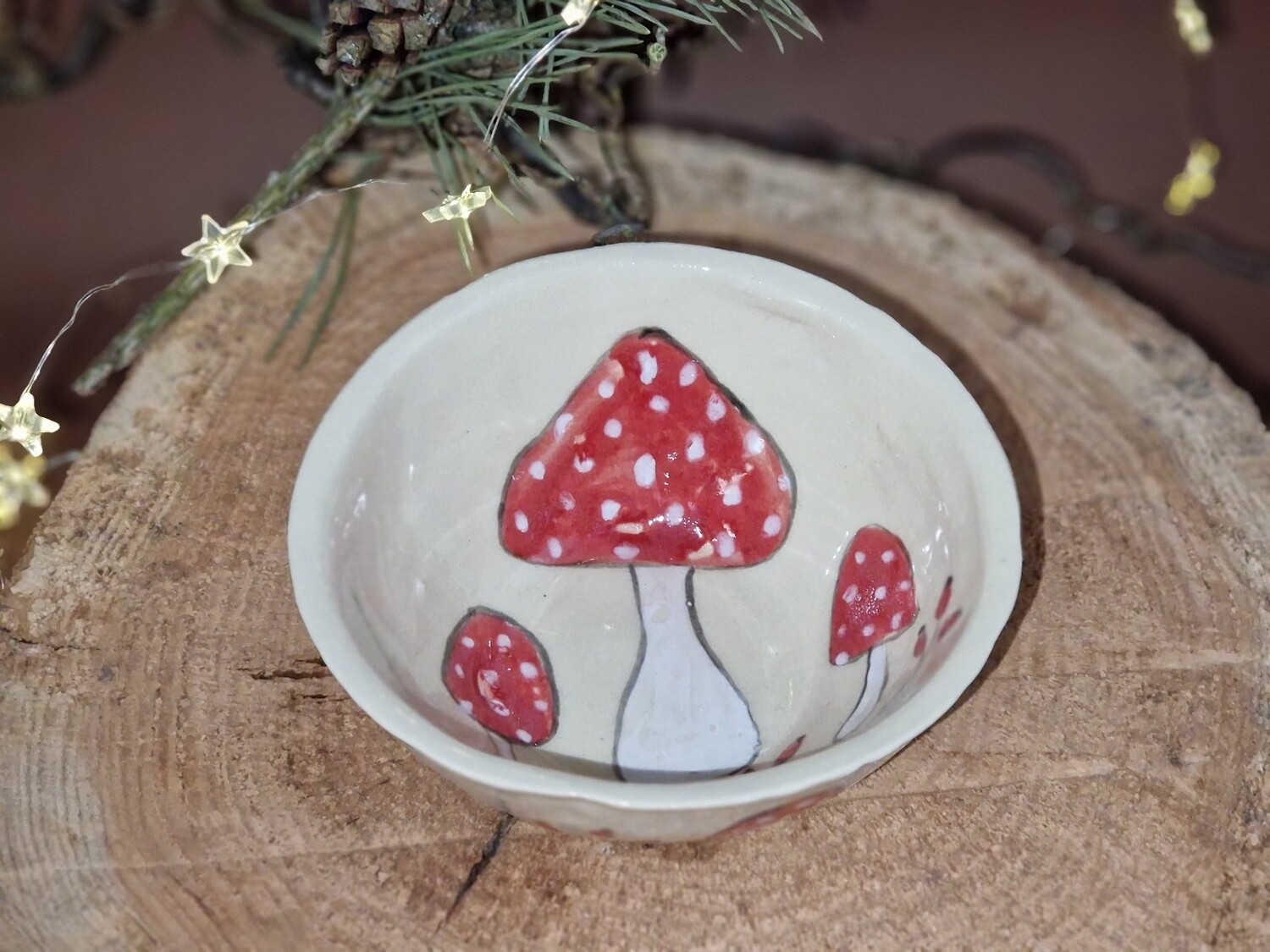 Pilz Schale