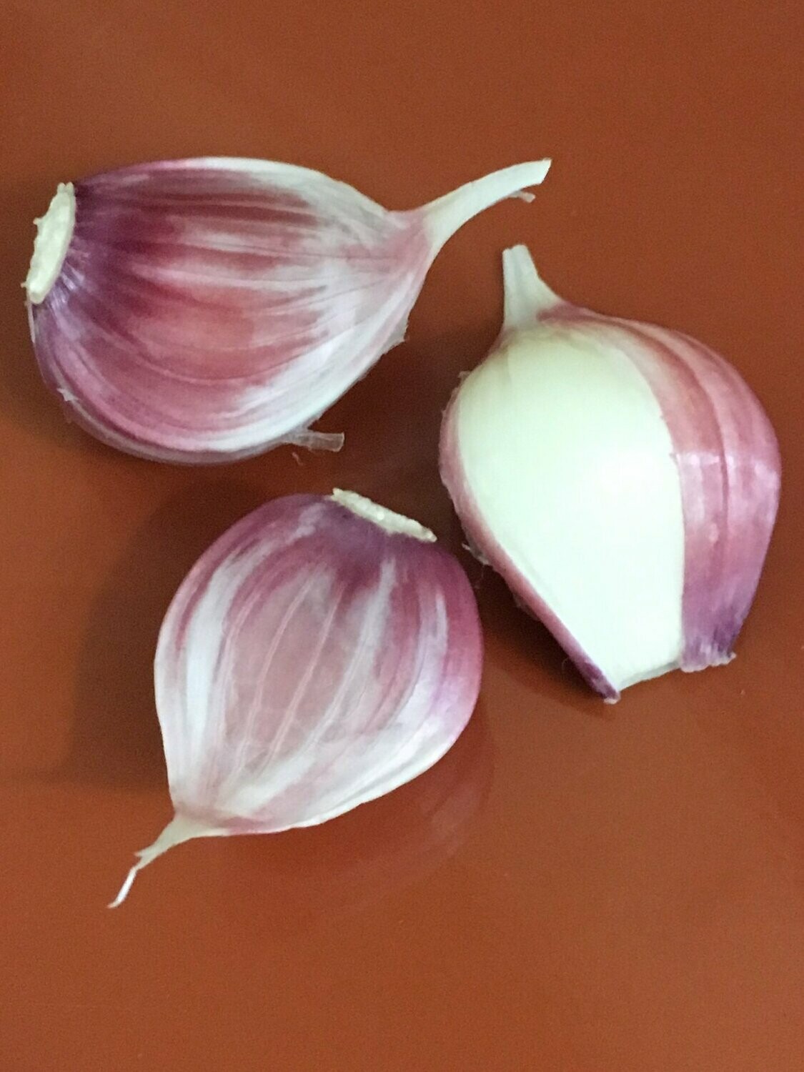 GOURMET GARLIC