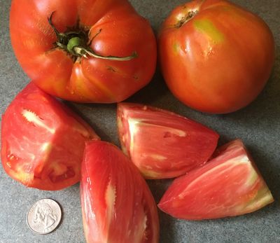 ORGANICALLY GROWN FOOD