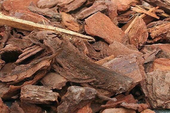 Ecorce de Pin