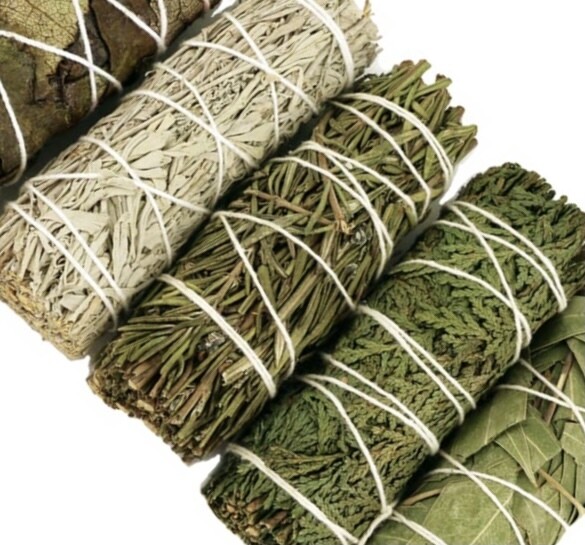 Sage - Cedar