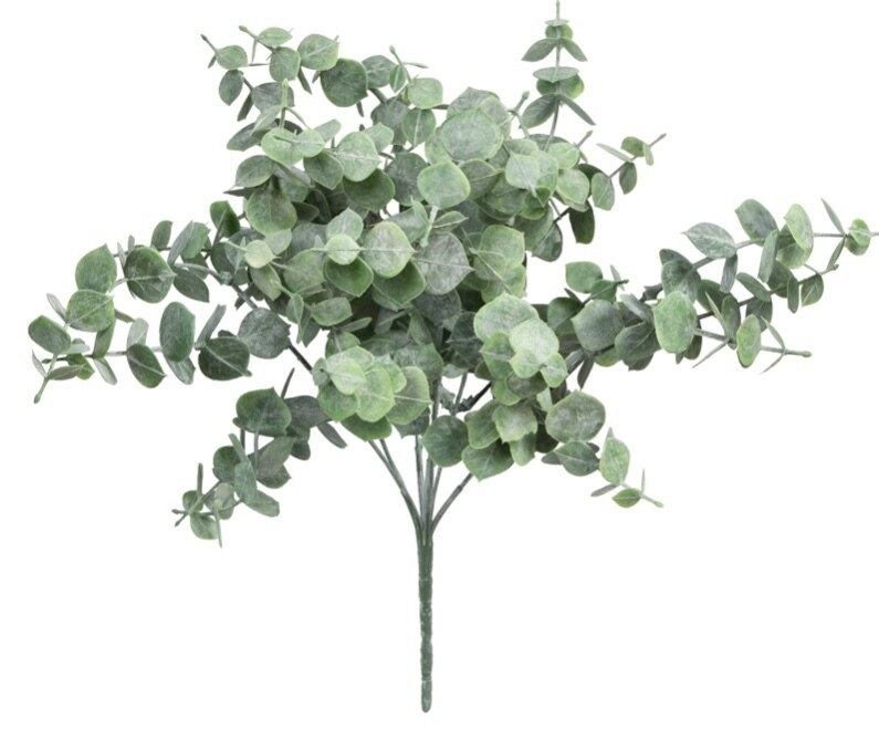 Sage - Eucalyptus