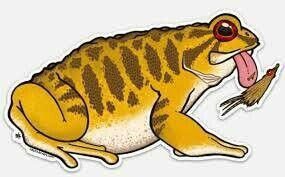 Remedy Toad Stickers