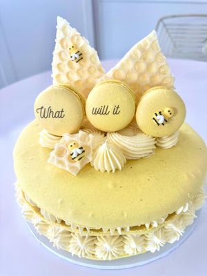 Gender Review Macaron Cake