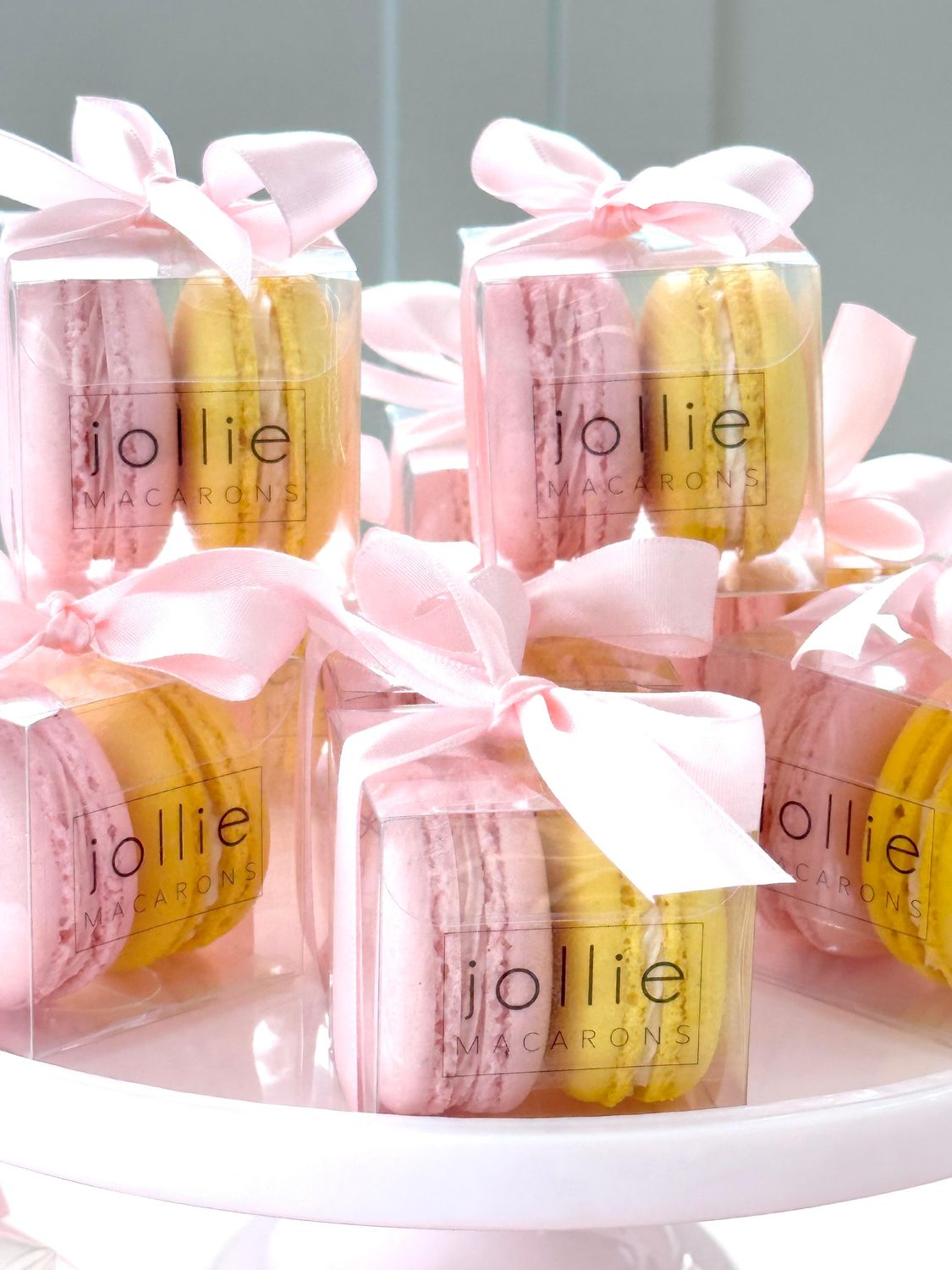 Macaron Party Favour