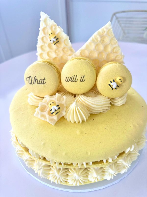 Gender Review Macaron Cake