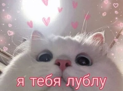 heheh