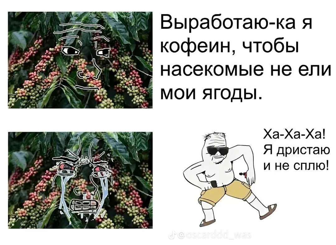 7777