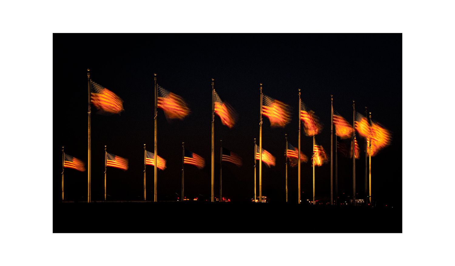 Fifty American Flags