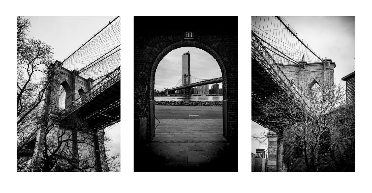 Dumbo Bridges