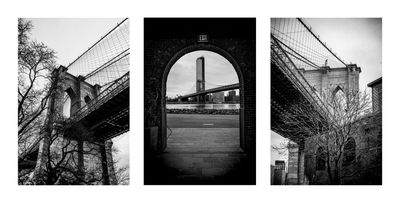 Dumbo Bridges