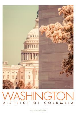 Washington DC Blossom