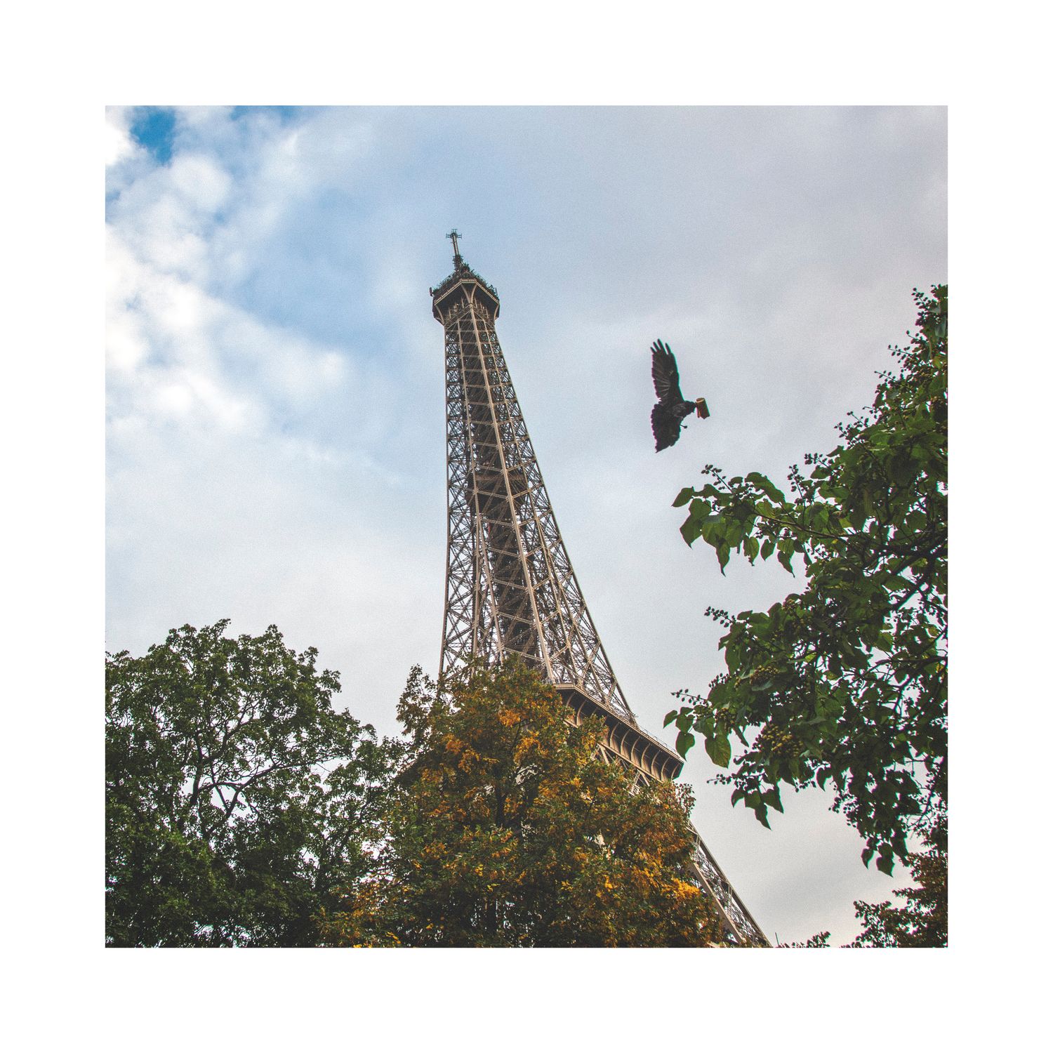 la Tour Eiffel