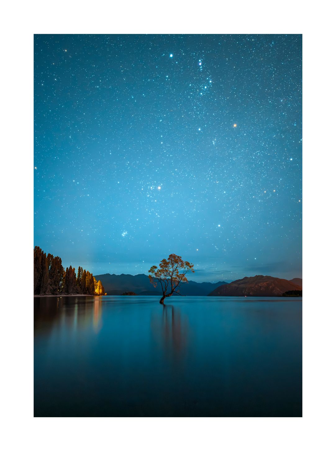 Matariki over That Wanaka Tree