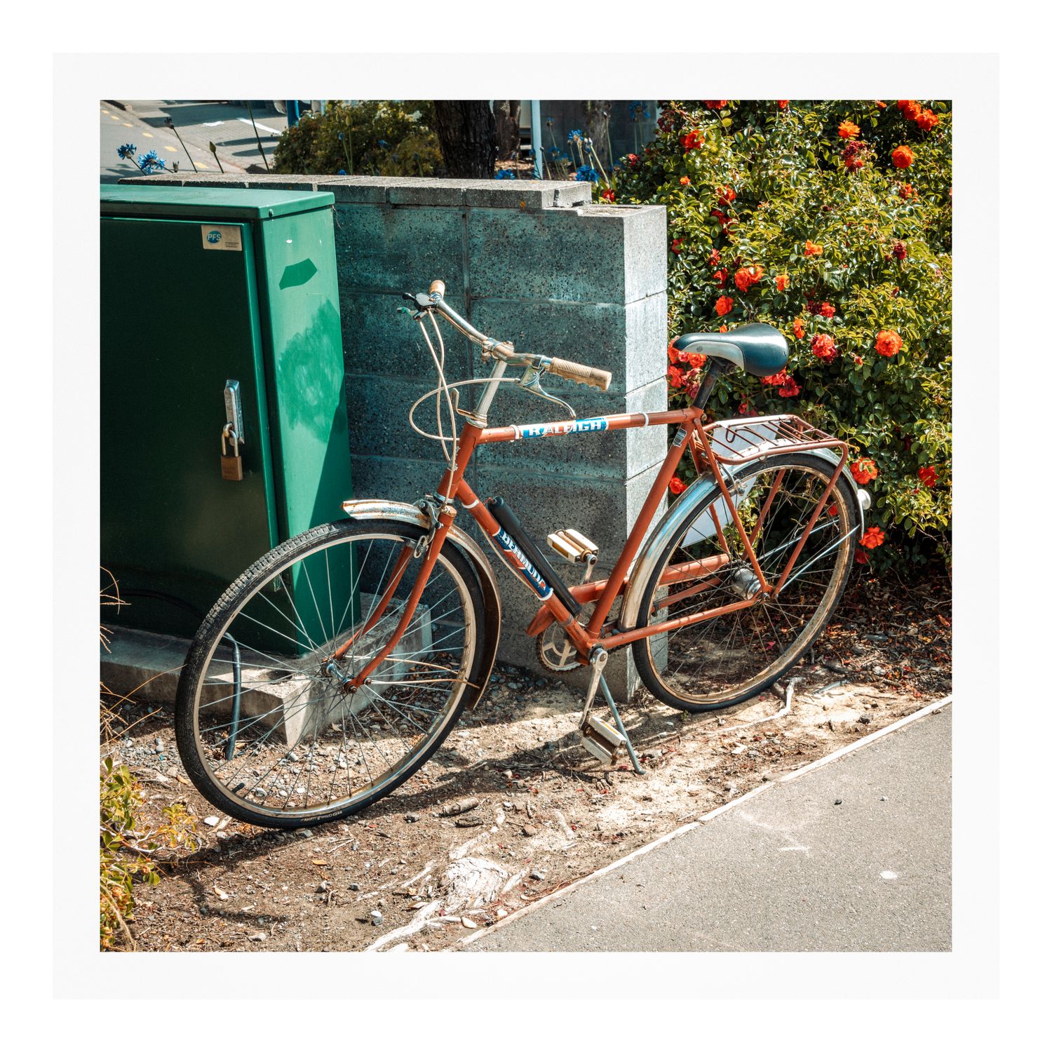 Raleigh Bermuda