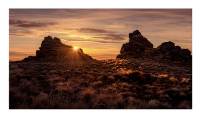Central Tussock Sunset