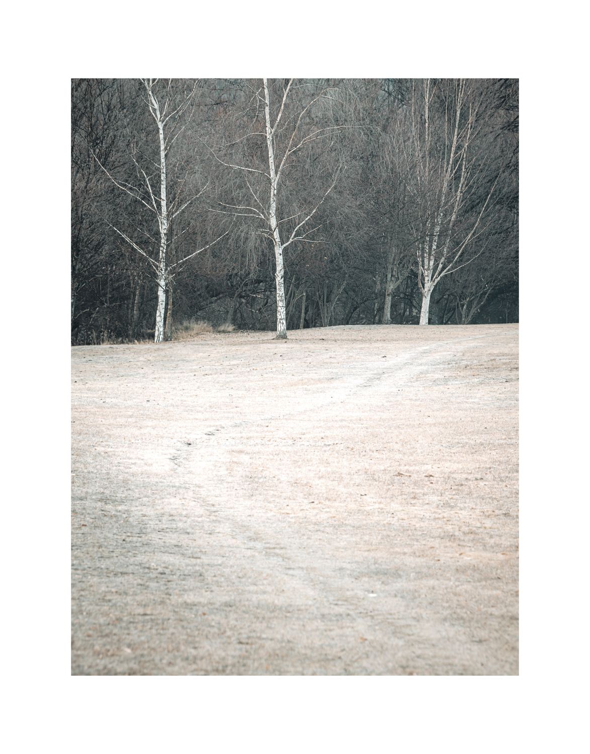 Arrowtown Threes