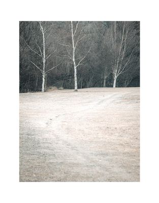 Arrowtown Threes