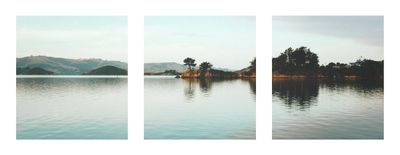 Yellowhead Tryptic