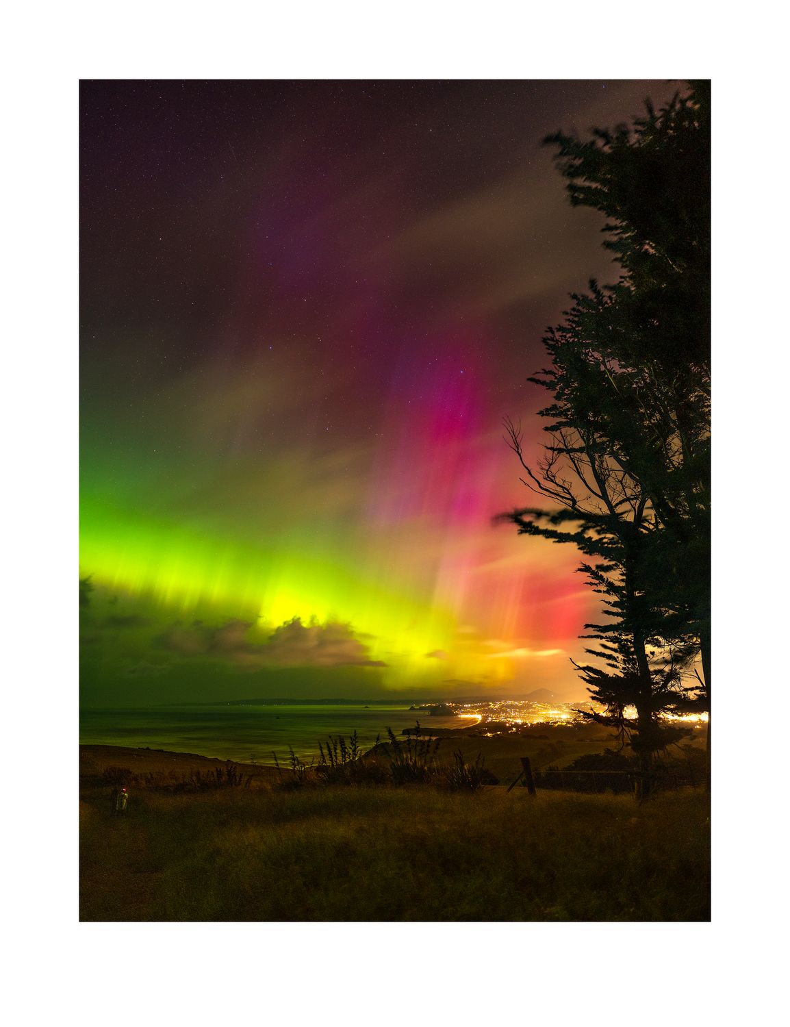 Aurora, St Clair Ōtepoti Dunedin