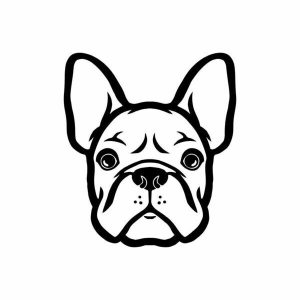 Frenchies Near Me