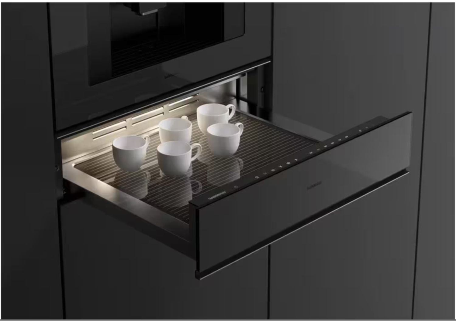 GW251100 GAGGENAU Warmhoudlade GW251100 GAGGENAU Warmhoudlade